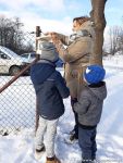 Czytaj więcej: Dokarmianie ptaków