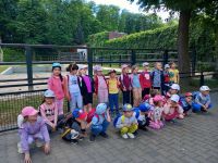 Czytaj więcej: Wycieczka przedszkola i zerówki do ZOO