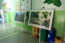 gallery1