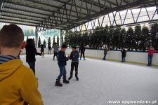 gallery1