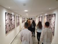 gallery1