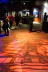 gallery1