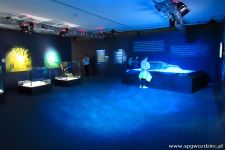 gallery1