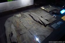 gallery1