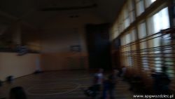 gallery1
