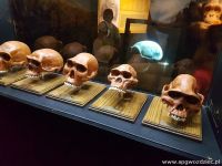 gallery1