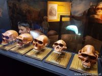 gallery1