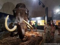 gallery1
