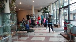 gallery1