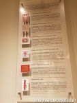 gallery1