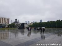 gallery1