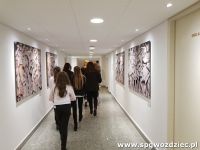 gallery1