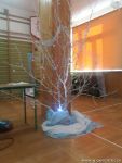gallery1