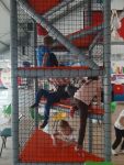 gallery1