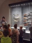 gallery1