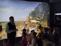 gallery1