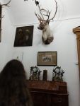gallery1