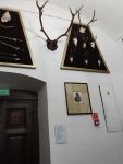 gallery1