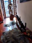 gallery1