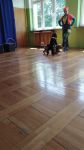 gallery1
