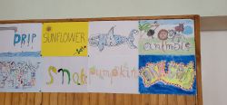 gallery1