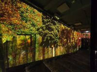 gallery1