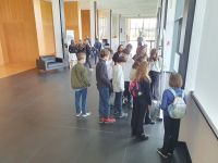 gallery1