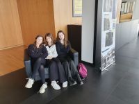 gallery1
