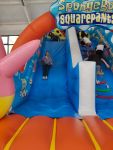 gallery1