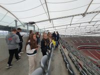 gallery1