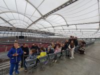 gallery1